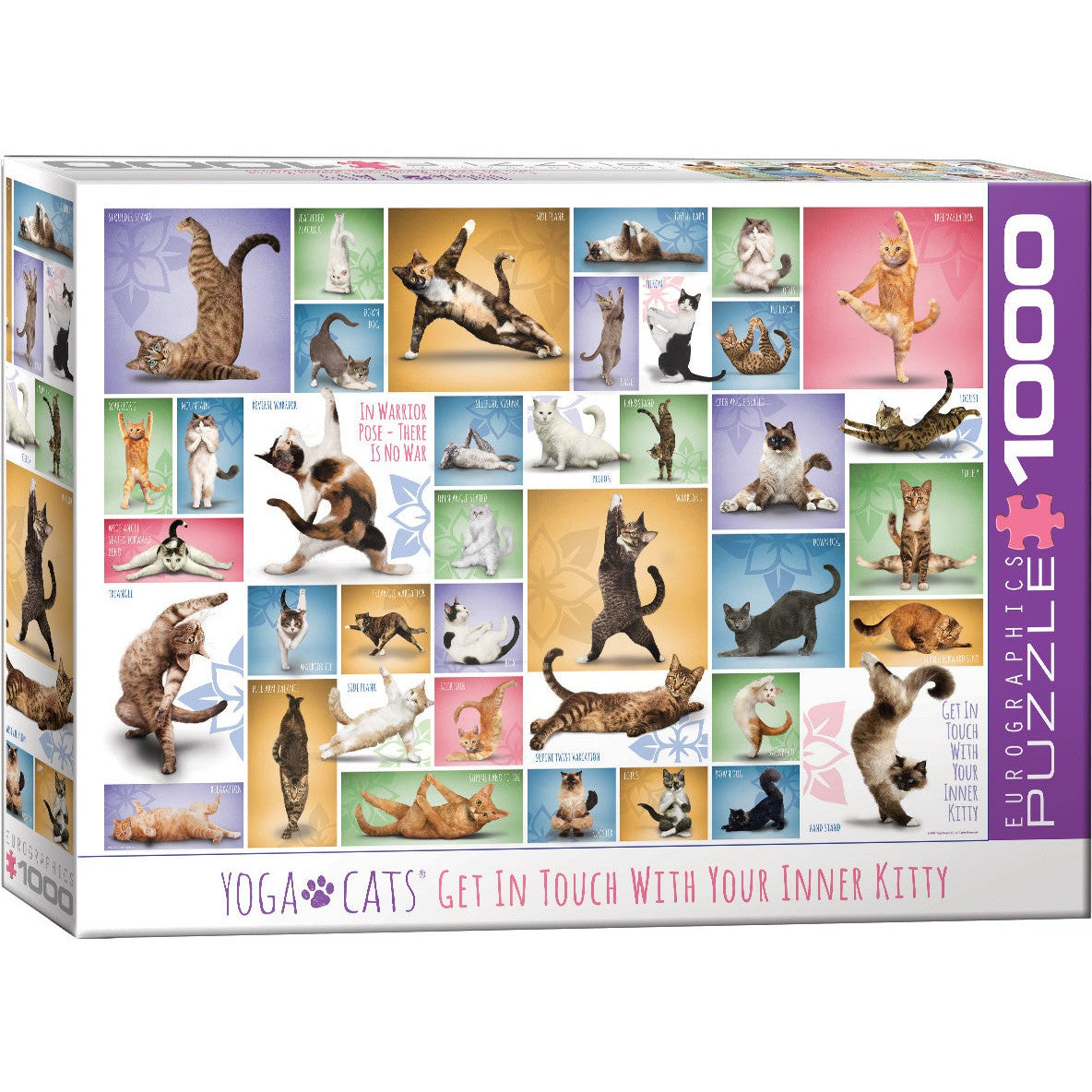Yoga Cats 1000 Piece Jigsaw Puzzle Eurographics Puzzle Merchant