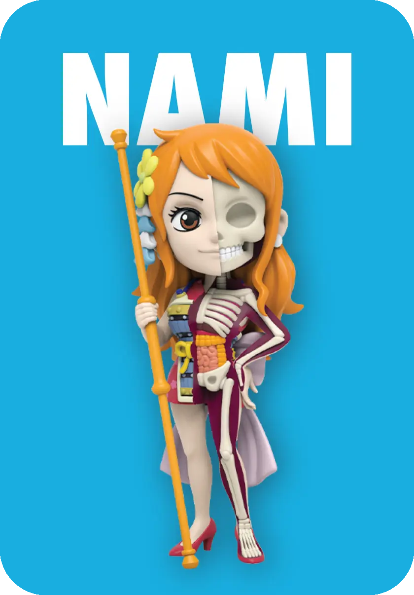 Freeny’s Hidden Dissectibles: One Piece (Ladies Edition) Blind Box (1 Blind Box) Super Anime Store