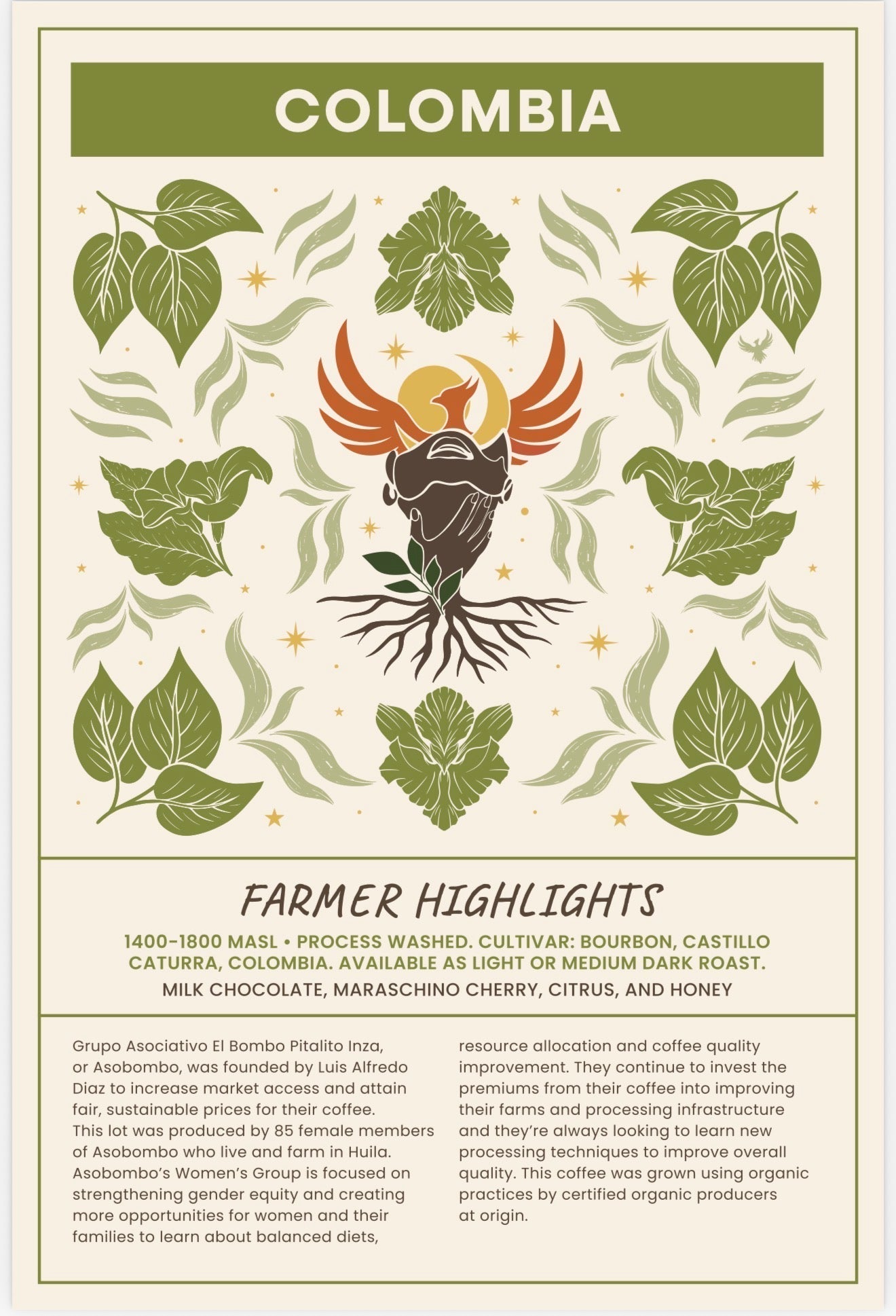 Colombia Coffee Light Roast ( Women Co Op) — Whole Bean Coffee
