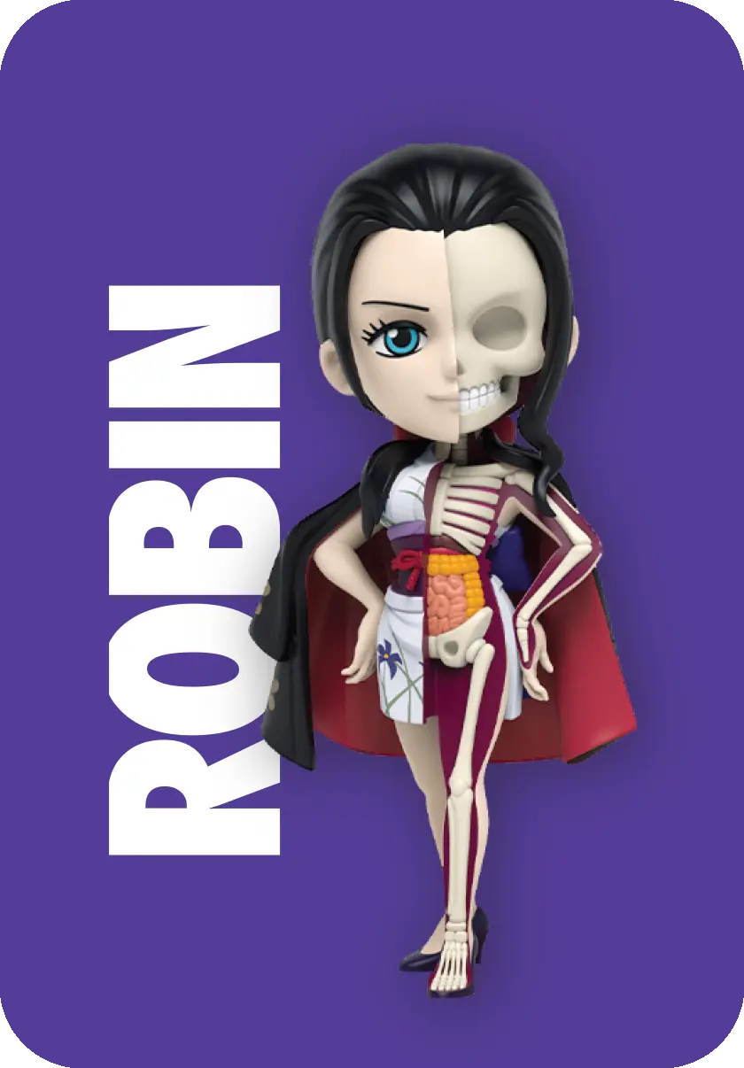 Freeny’s Hidden Dissectibles: One Piece (Ladies Edition) Blind Box (1 Blind Box) Super Anime Store
