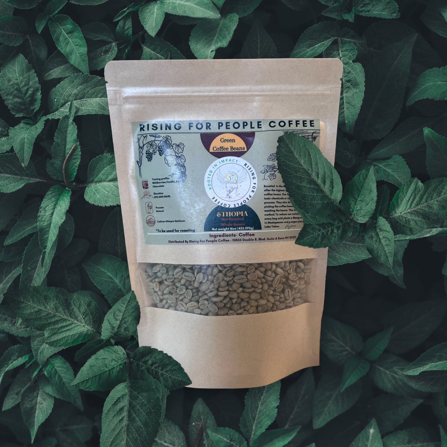 Ethiopia Natural Green Coffee Beans — Whole Bean Coffee