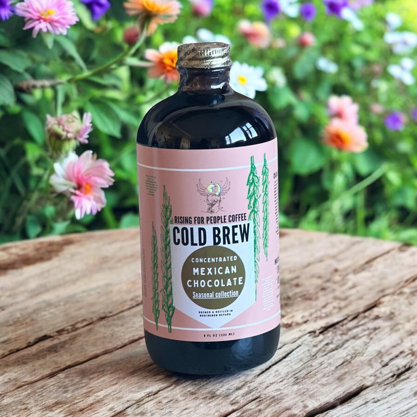 Limited Edition Mexican Chocolate Cold Brew Concentrate Coffee — Light Roast Whole Bean Coffee