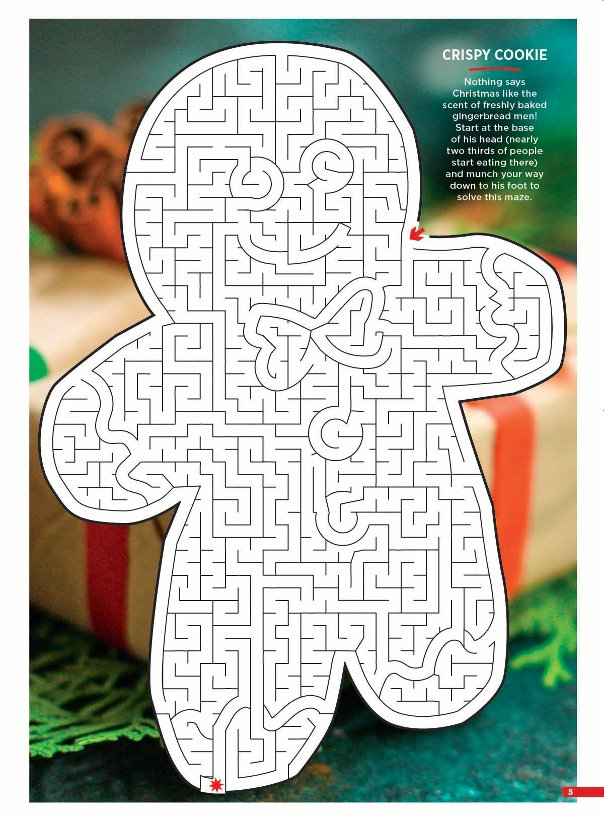 Brain Fun - Mazes: 48 Puzzles, All Skill Levels, Holiday Gingerbread Cookies, Christmas Snowmen, Twisty Paths, Avoid Traps, Dead-End Techniques, Pencil Tricks, Solving Tips & Solutions Inside! Magazine Shop US