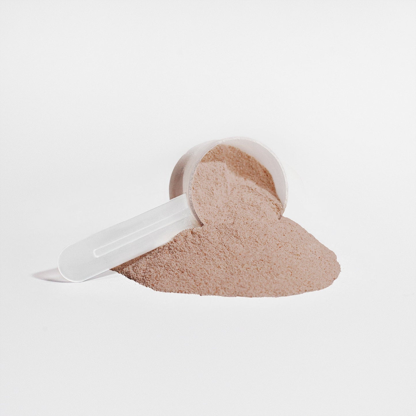Plant Protein (Chocolate) — Whole Bean Coffee