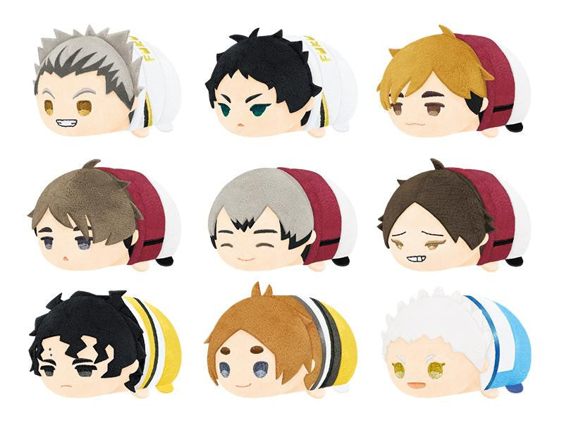 Haikyuu!! Mochi Mochi Mascot Vol.5 Blind Box – SK Japan Super Anime Store