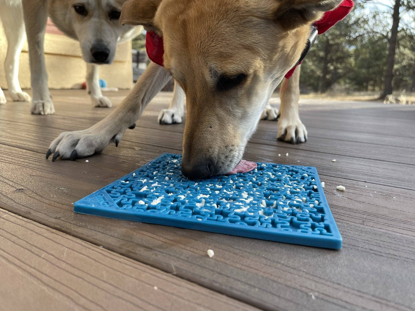 Jigsaw Puzzle eMat - Enrichment Lick Mat for Dogs and Cats | eMat Enrichment Toy for Anxiety Relief | USA Made SodaPup/True Dogs, LLC