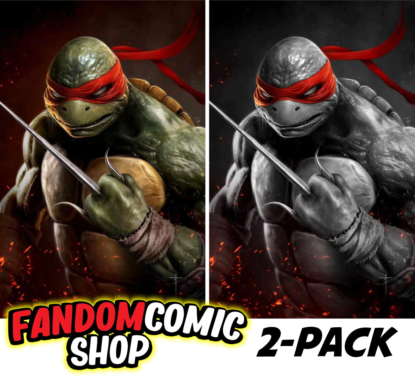 TEENAGE MUTANT NINJA TURTLES #1 (JAY FERGUSON EXCLUSIVE VIRGIN VARIANT A & B SET) ~ IDW TMNT Fandom Comic Shop