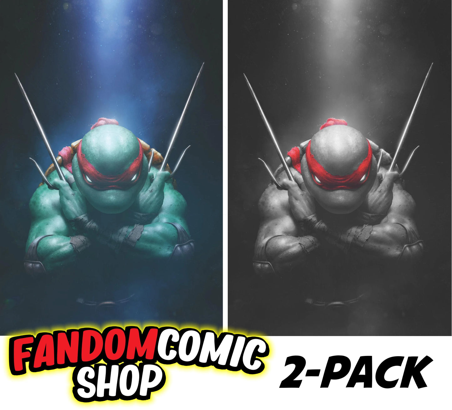 TEENAGE MUTANT NINJA TURTLES #1 (RAHZZAH EXCLUSIVE VIRGIN VARIANT A & B SET) ~ IDW TMNT Fandom Comic Shop